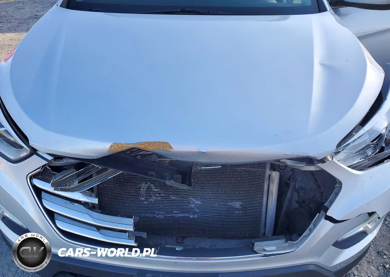 2014 Hyundai Santa Fe Gls VIN:KM8SMDHF1EU051418 - 12