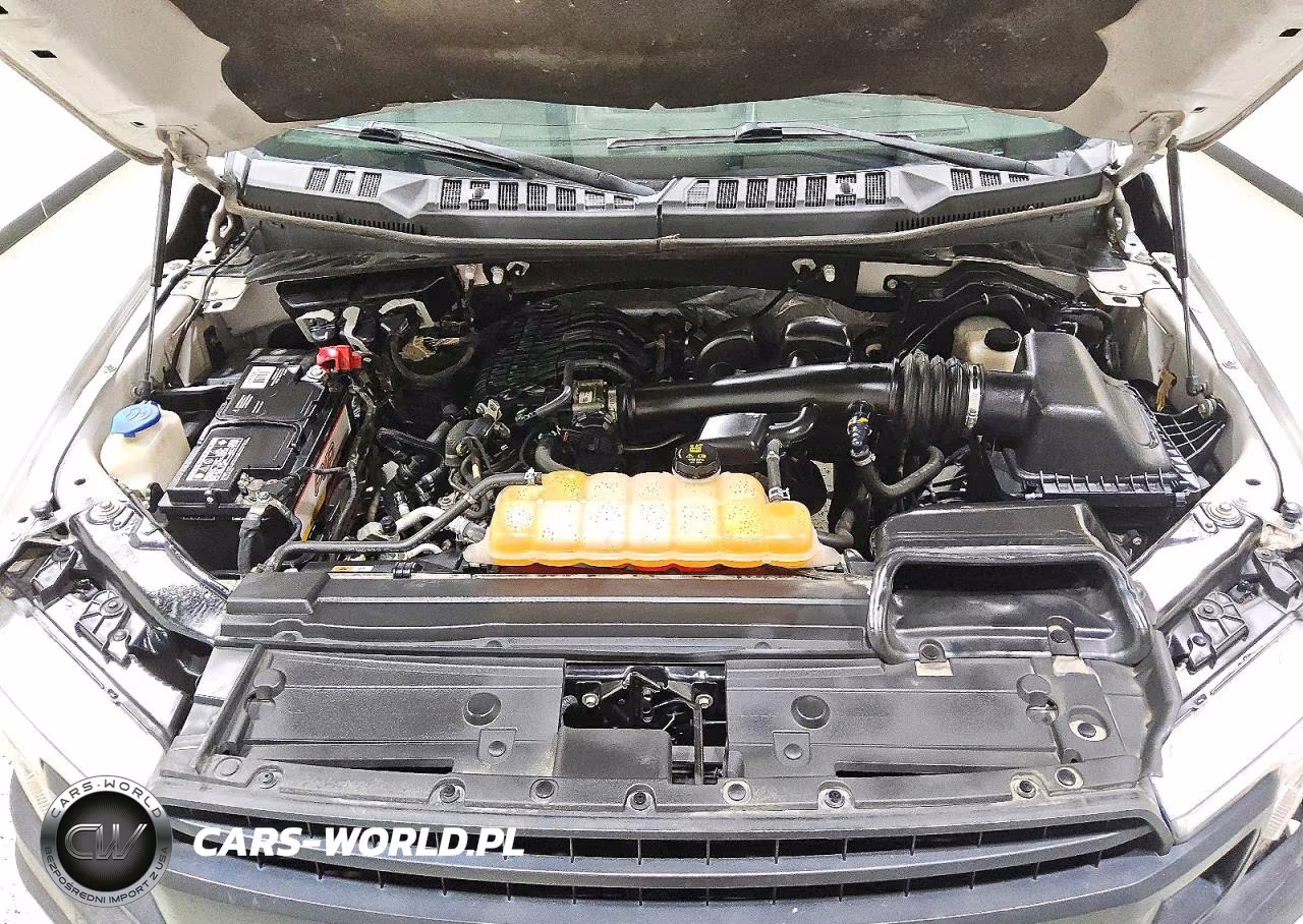 2018 Ford F150 VIN:1FTMF1EB2JFD61177 - 11