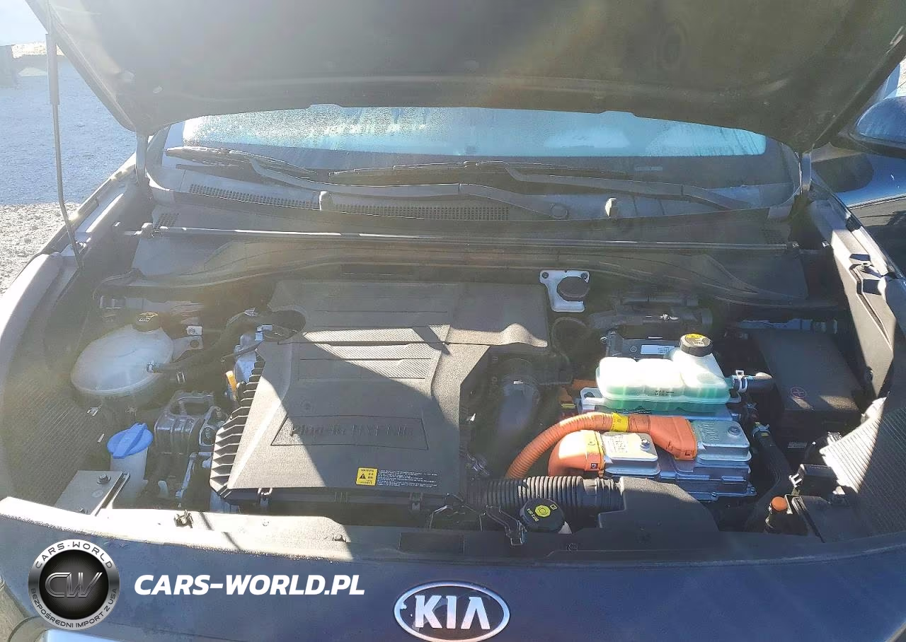 2018 Kia Niro Lx VIN:KNDCM3LD2J5210976 - 11