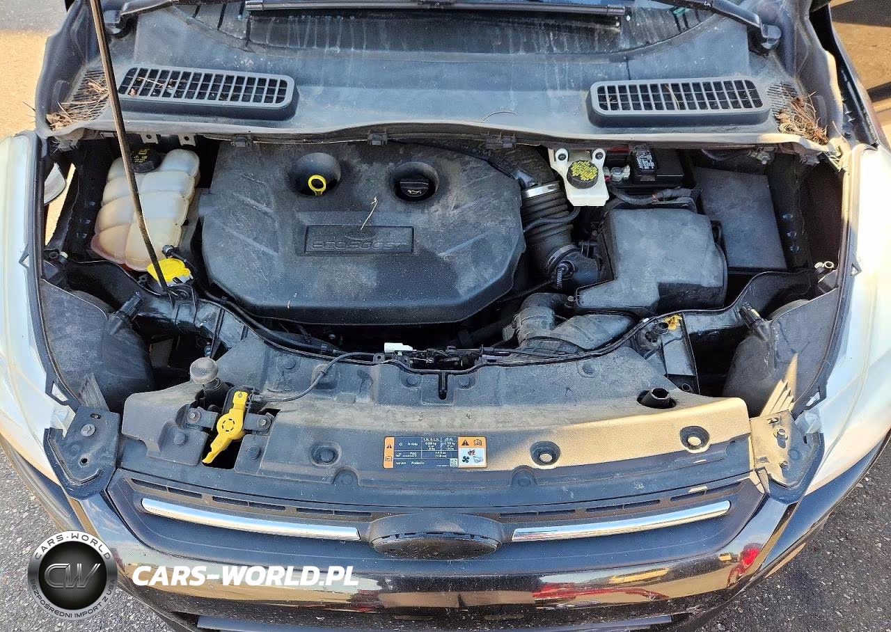 2014 Ford Escape Se VIN:1FMCU9G94EUE01430 - 12