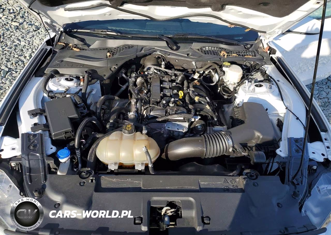 2022 Ford Mustang VIN:1FA6P8TH6N5129771 - 11