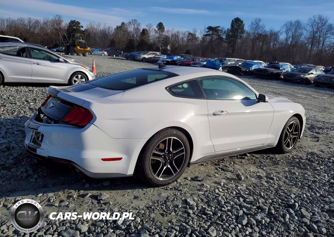 2022 Ford Mustang VIN:1FA6P8TH6N5129771 - 3