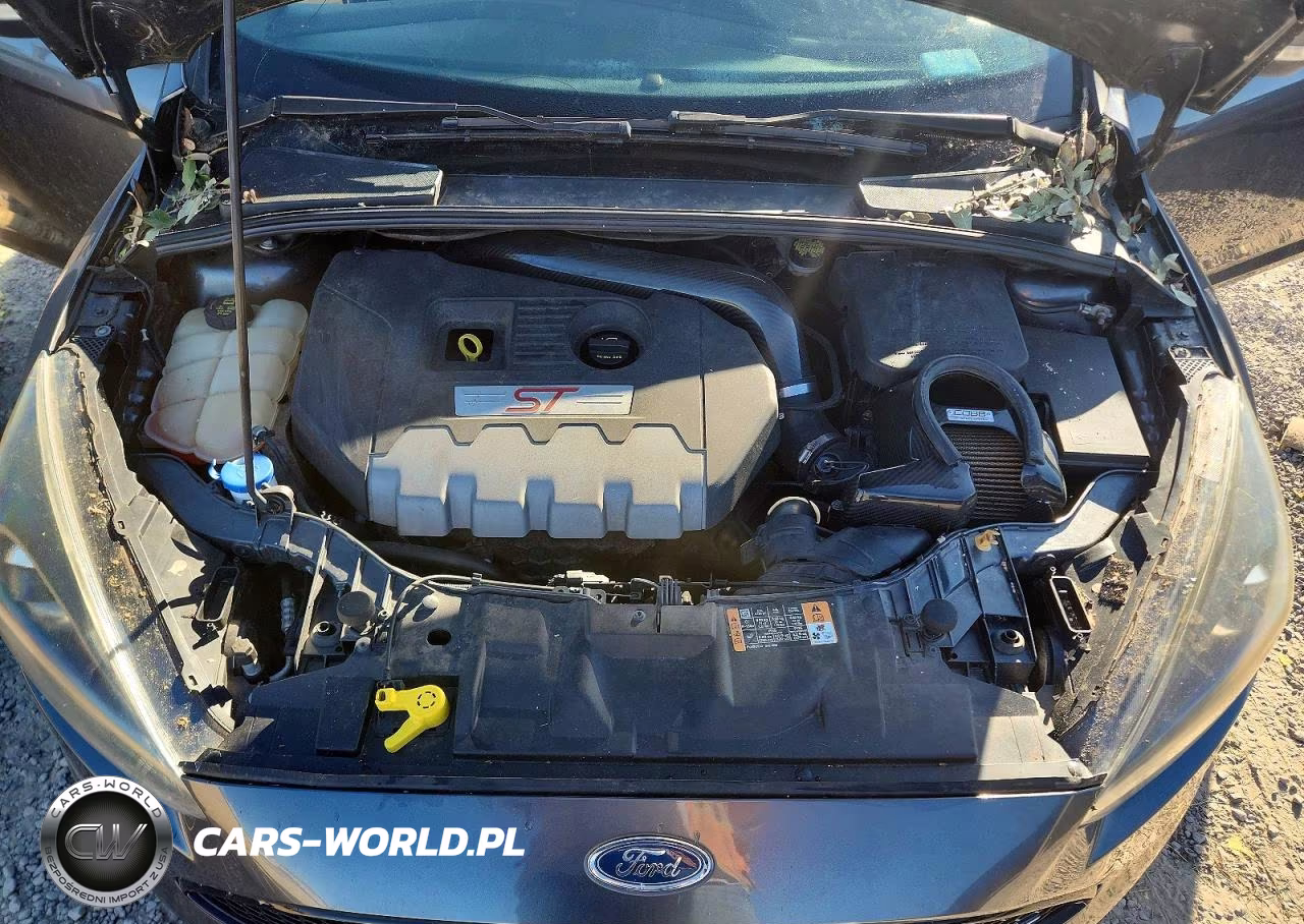 2016 Ford Focus VIN:1FADP3L91GL223879 - 11