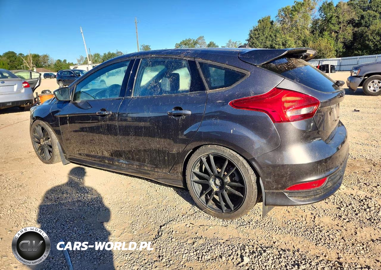 2016 Ford Focus VIN:1FADP3L91GL223879 - 2