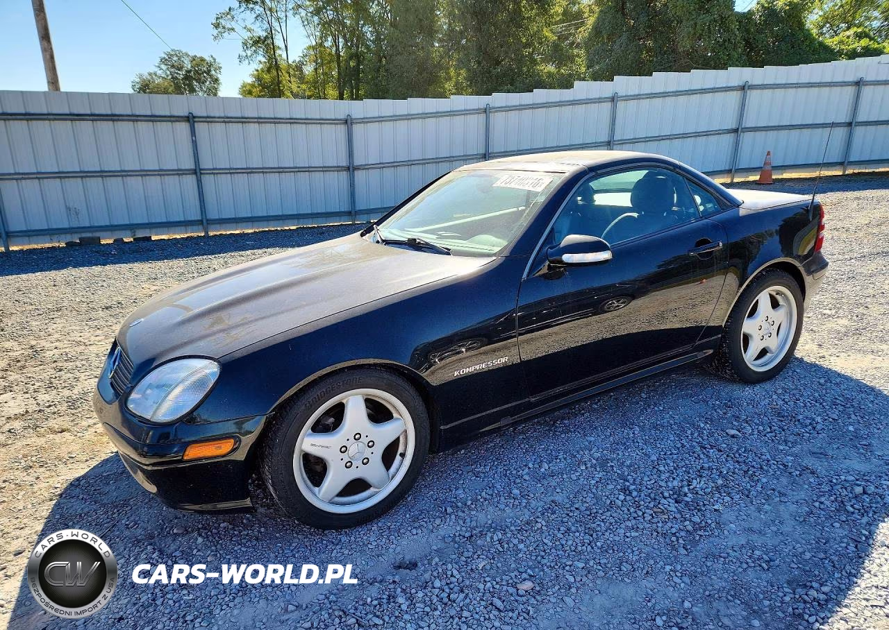 2004 Mercedes-Benz Slk 230 Kompressor VIN:WDBKK49F04F298844 - 1