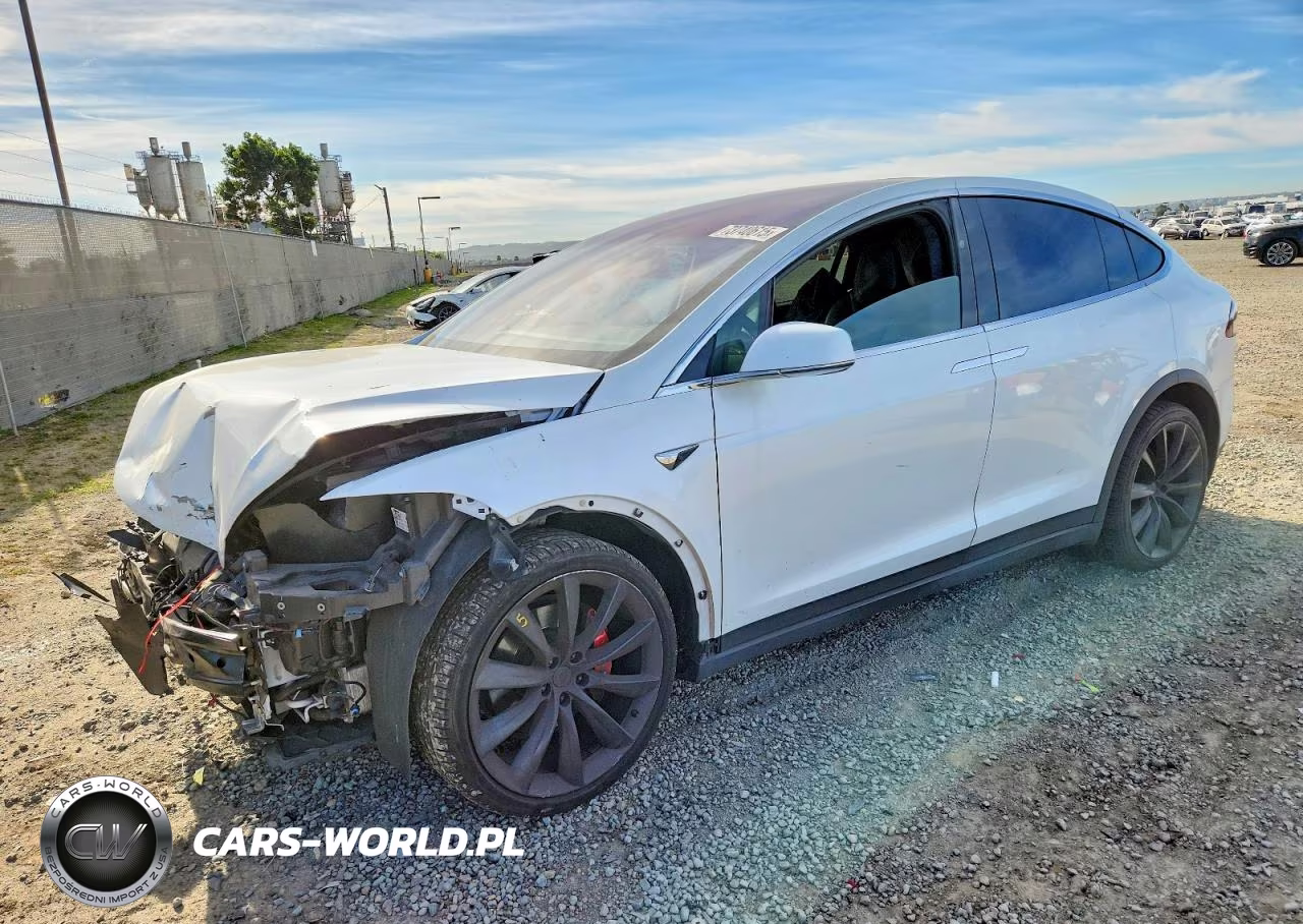 2019 Tesla Model X
