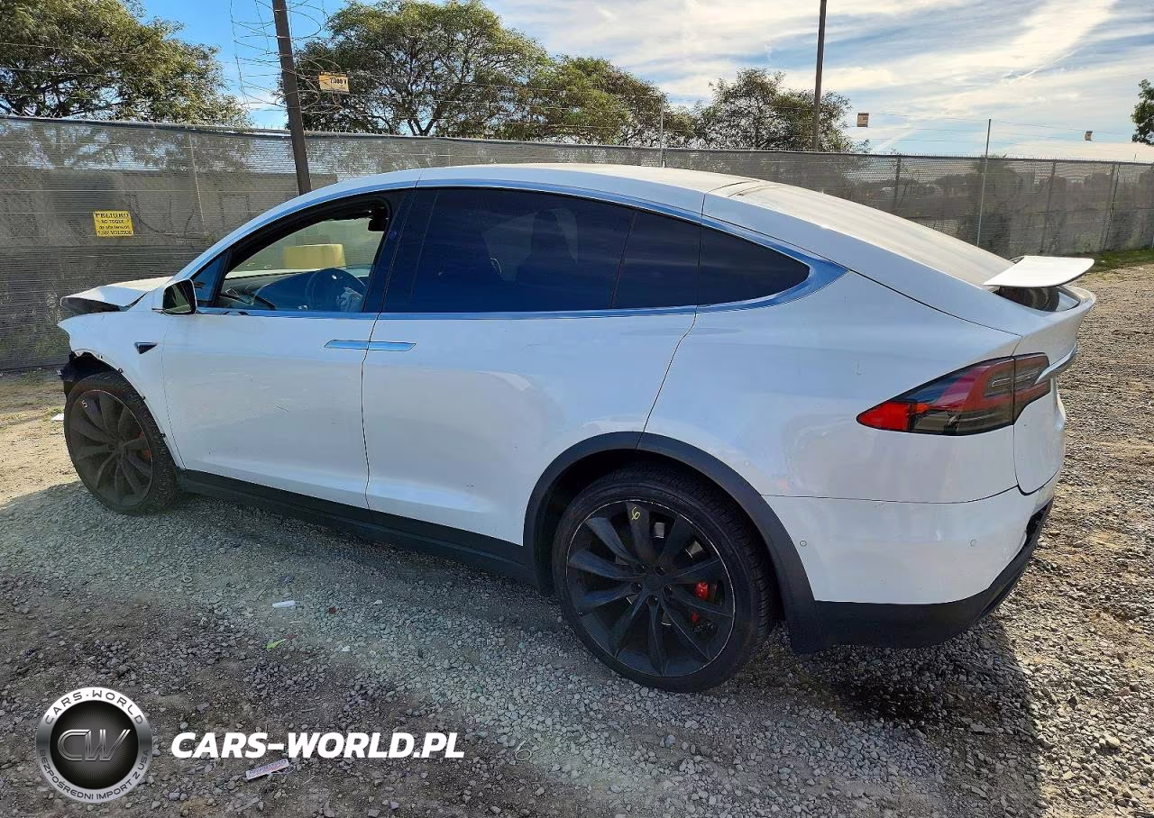 2019 Tesla Model X VIN:5YJXCAE46KF162369 - 2