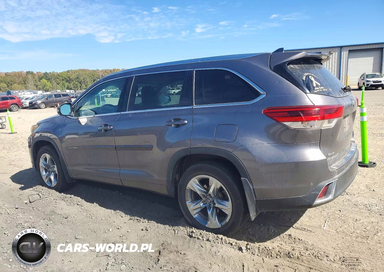 2019 Toyota Highlander Limited VIN:5TDYZRFH0KS345927 - 2