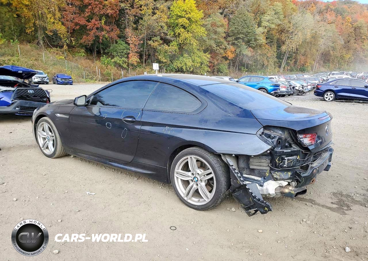 2014 BMW 650 Xi VIN:WBAYM1C54ED325106 - 2