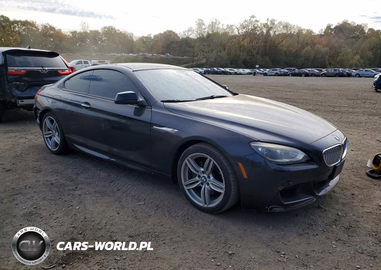 2014 BMW 650 Xi VIN:WBAYM1C54ED325106 - 4
