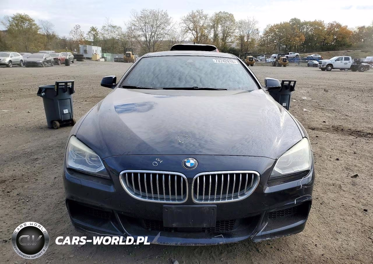 2014 BMW 650 Xi VIN:WBAYM1C54ED325106 - 5