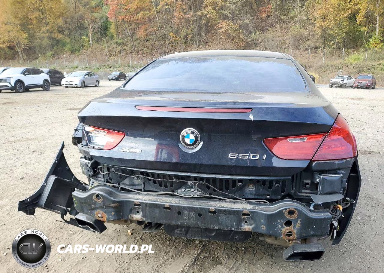 2014 BMW 650 Xi VIN:WBAYM1C54ED325106 - 6