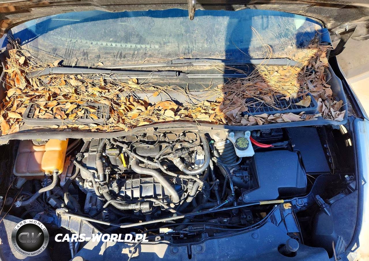 2013 Ford Escape Se VIN:1FMCU0GX7DUD35917 - 11