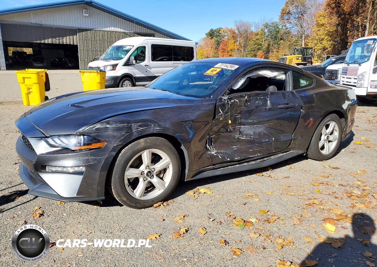 2019 Ford Mustang VIN:1FA6P8TH2K5111389 - 1