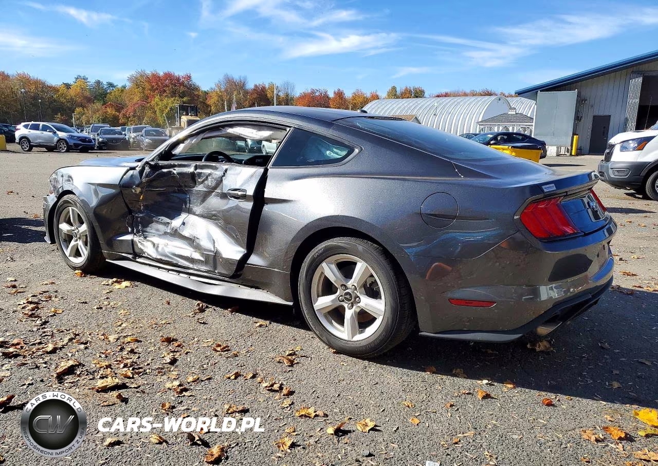 2019 Ford Mustang VIN:1FA6P8TH2K5111389 - 2