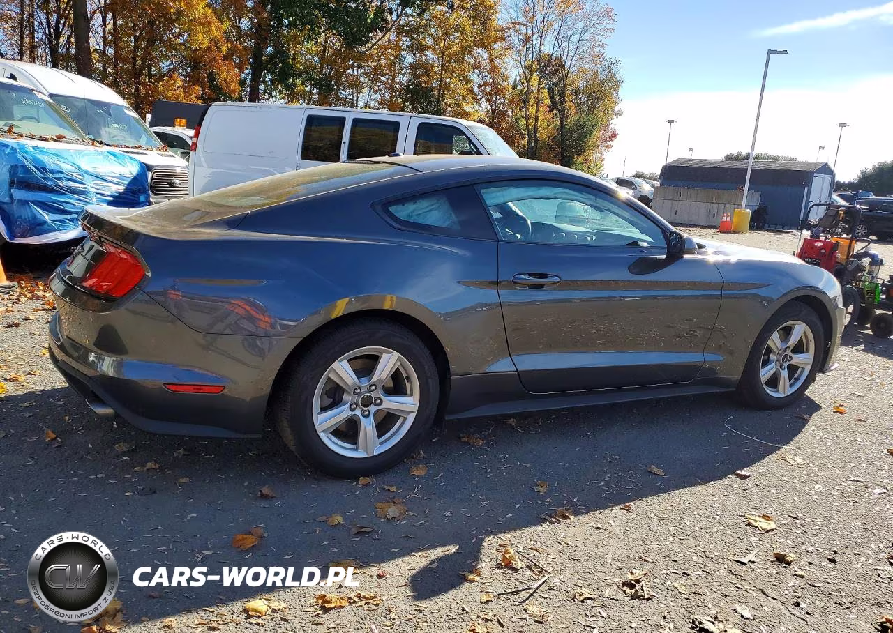 2019 Ford Mustang VIN:1FA6P8TH2K5111389 - 3