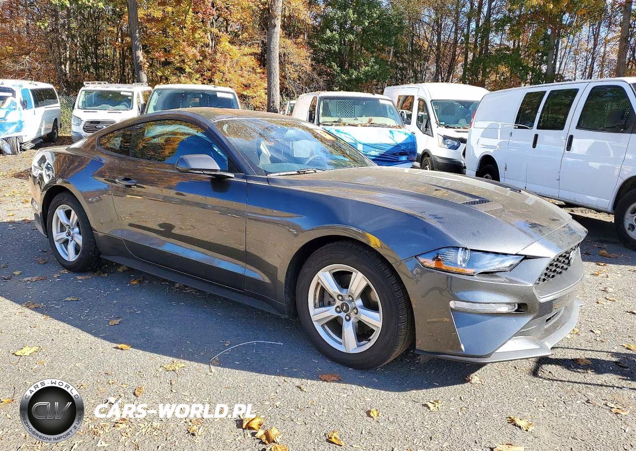 2019 Ford Mustang VIN:1FA6P8TH2K5111389 - 4