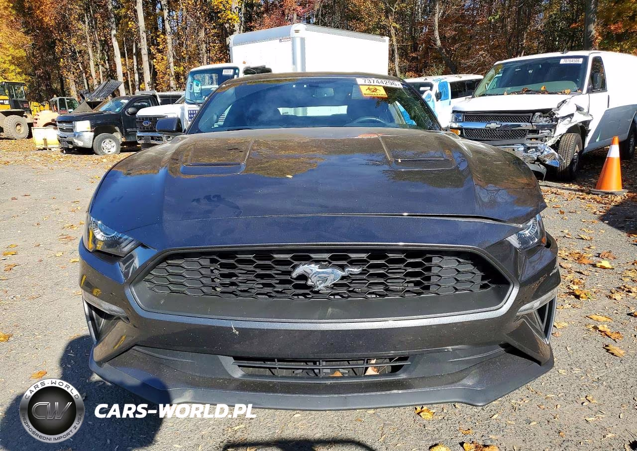 2019 Ford Mustang VIN:1FA6P8TH2K5111389 - 5