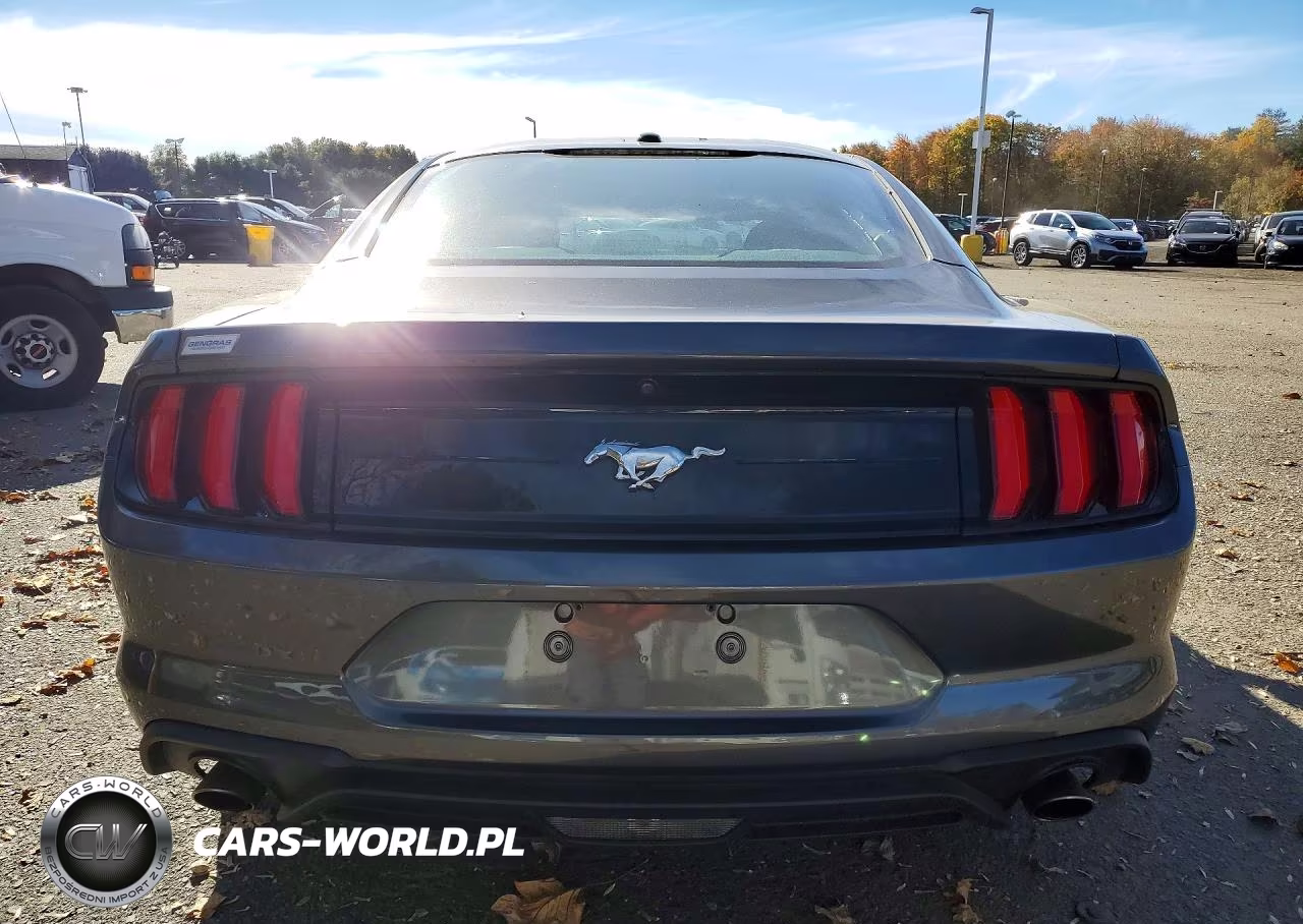 2019 Ford Mustang VIN:1FA6P8TH2K5111389 - 6