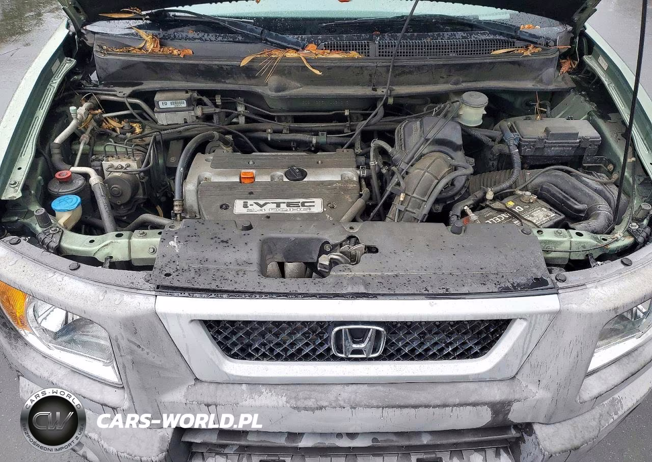 2004 Honda Element VIN:5J6YH285X4L024313 - 11