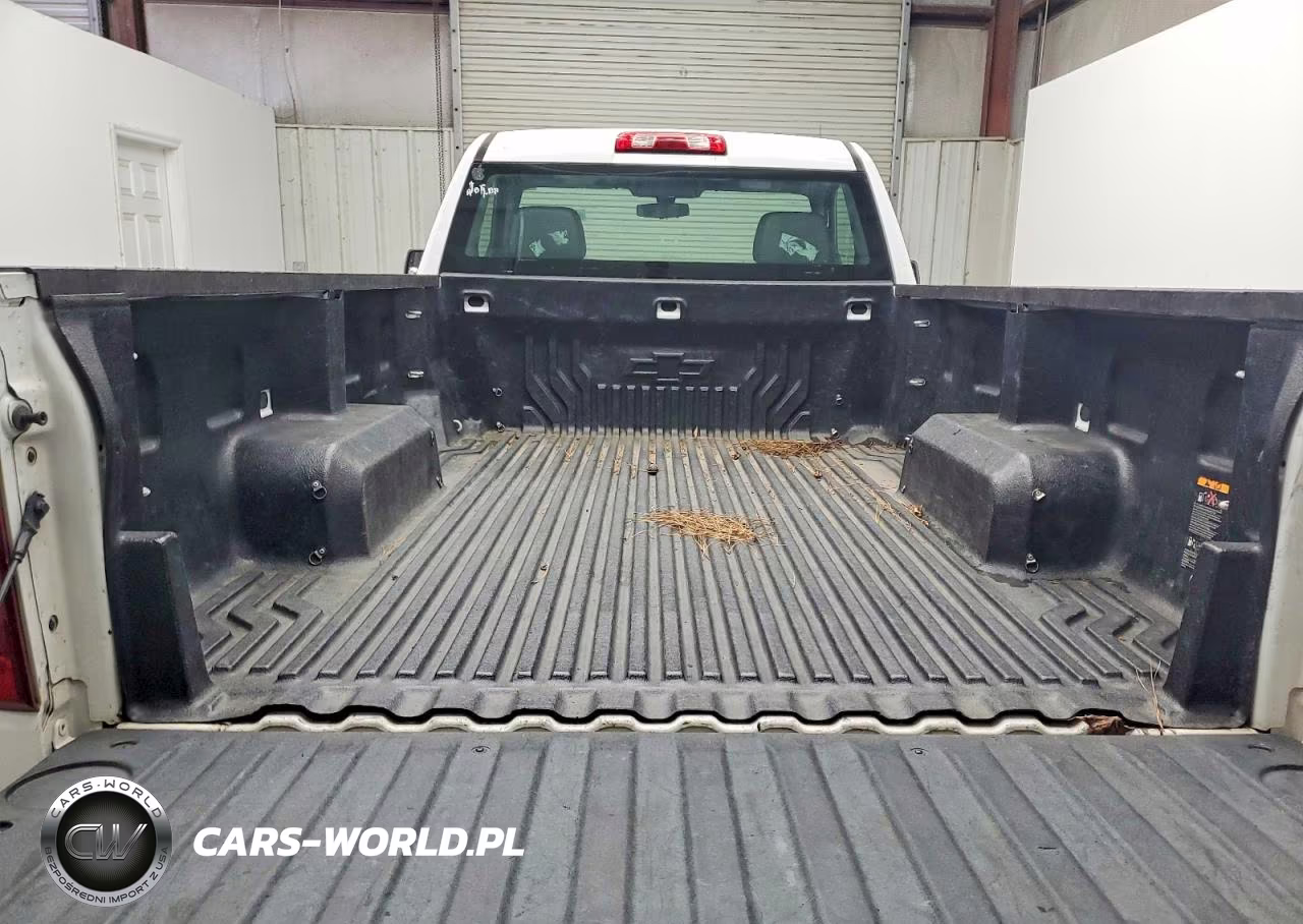 2020 Chevrolet Silverado C1500 VIN:3GCNWAEHXLG448769 - 10