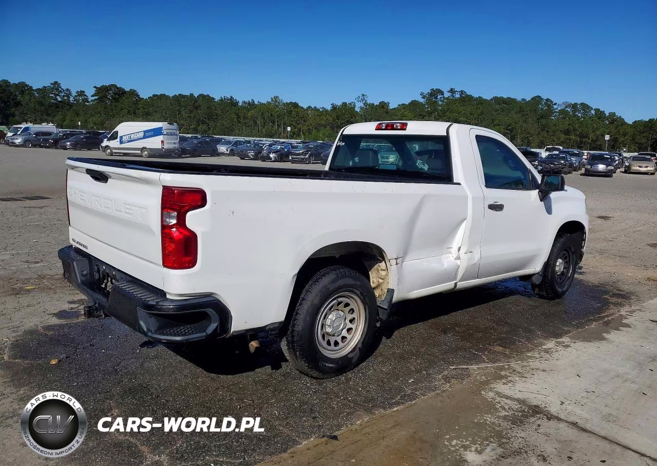 2020 Chevrolet Silverado C1500 VIN:3GCNWAEHXLG448769 - 3