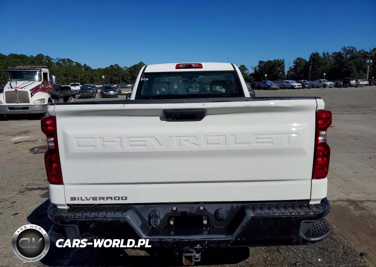 2020 Chevrolet Silverado C1500 VIN:3GCNWAEHXLG448769 - 6