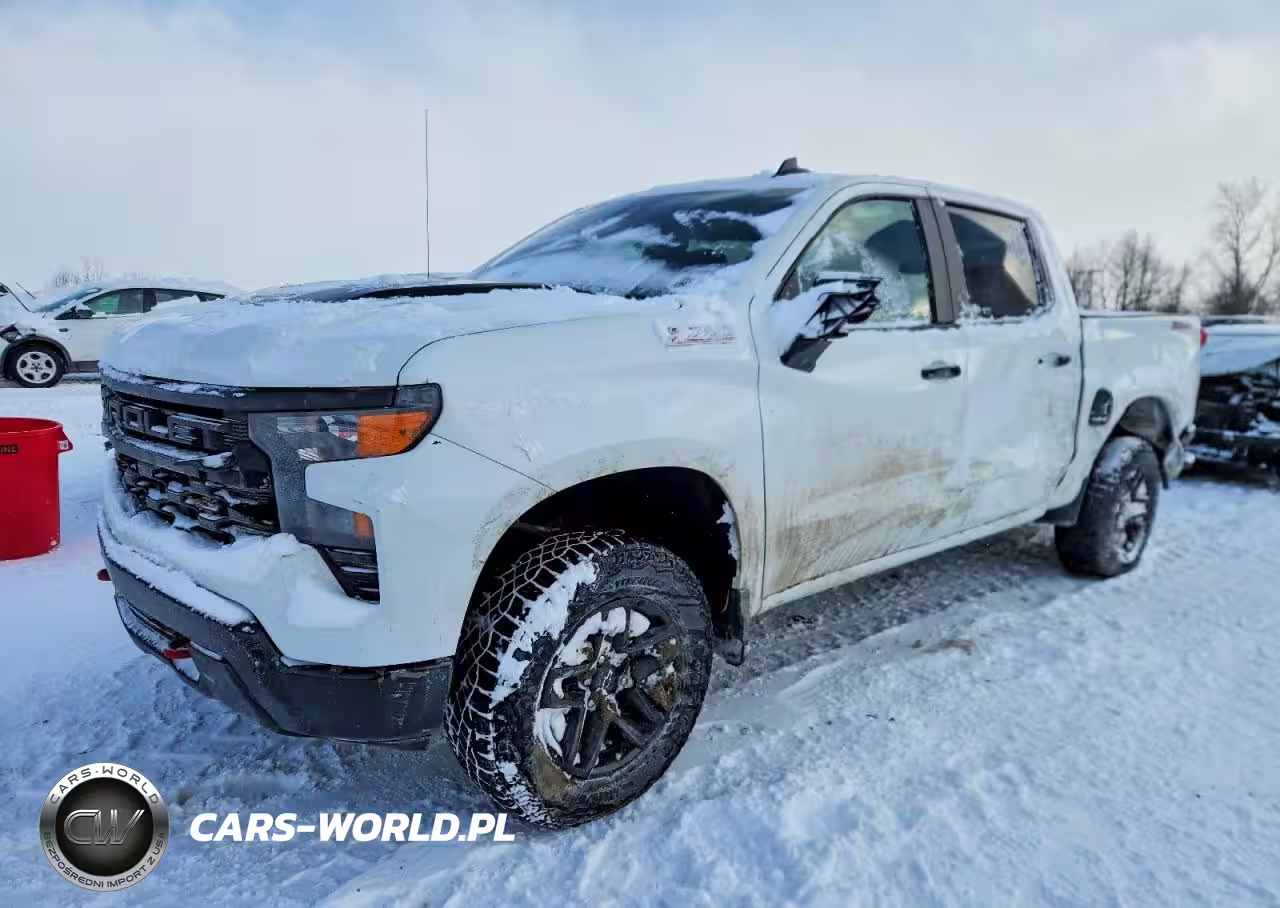 2024 Chevrolet Silverado K1500 Trail Boss Custom