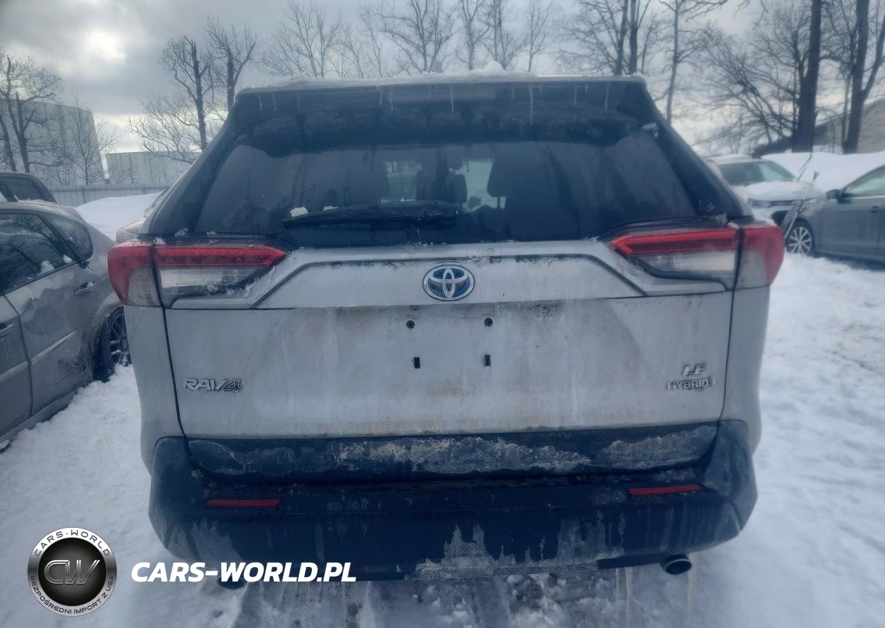 2019 Toyota Rav4 Le VIN:2T3MWRFV4KW027952 - 6
