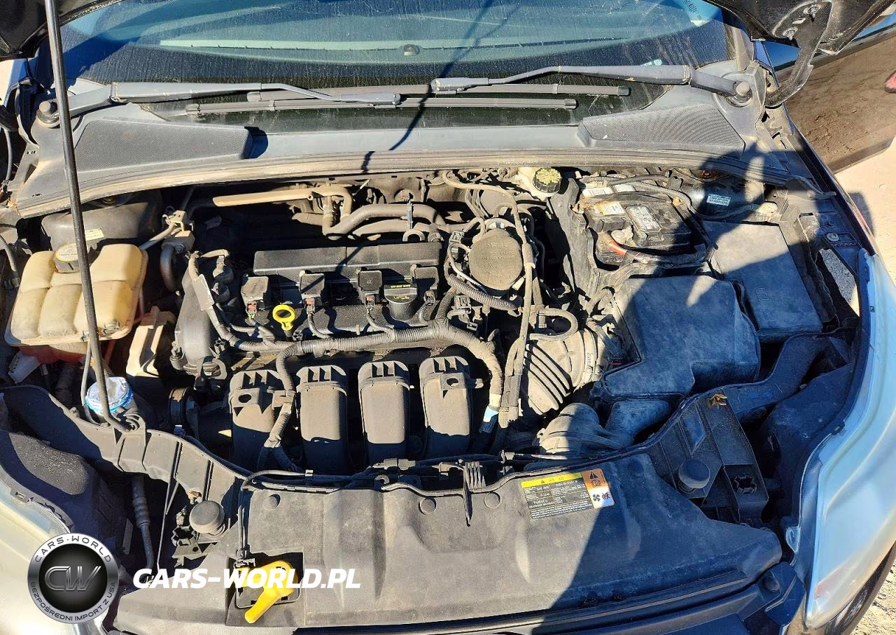 2013 Ford Focus Se VIN:1FADP3F25DL287109 - 11