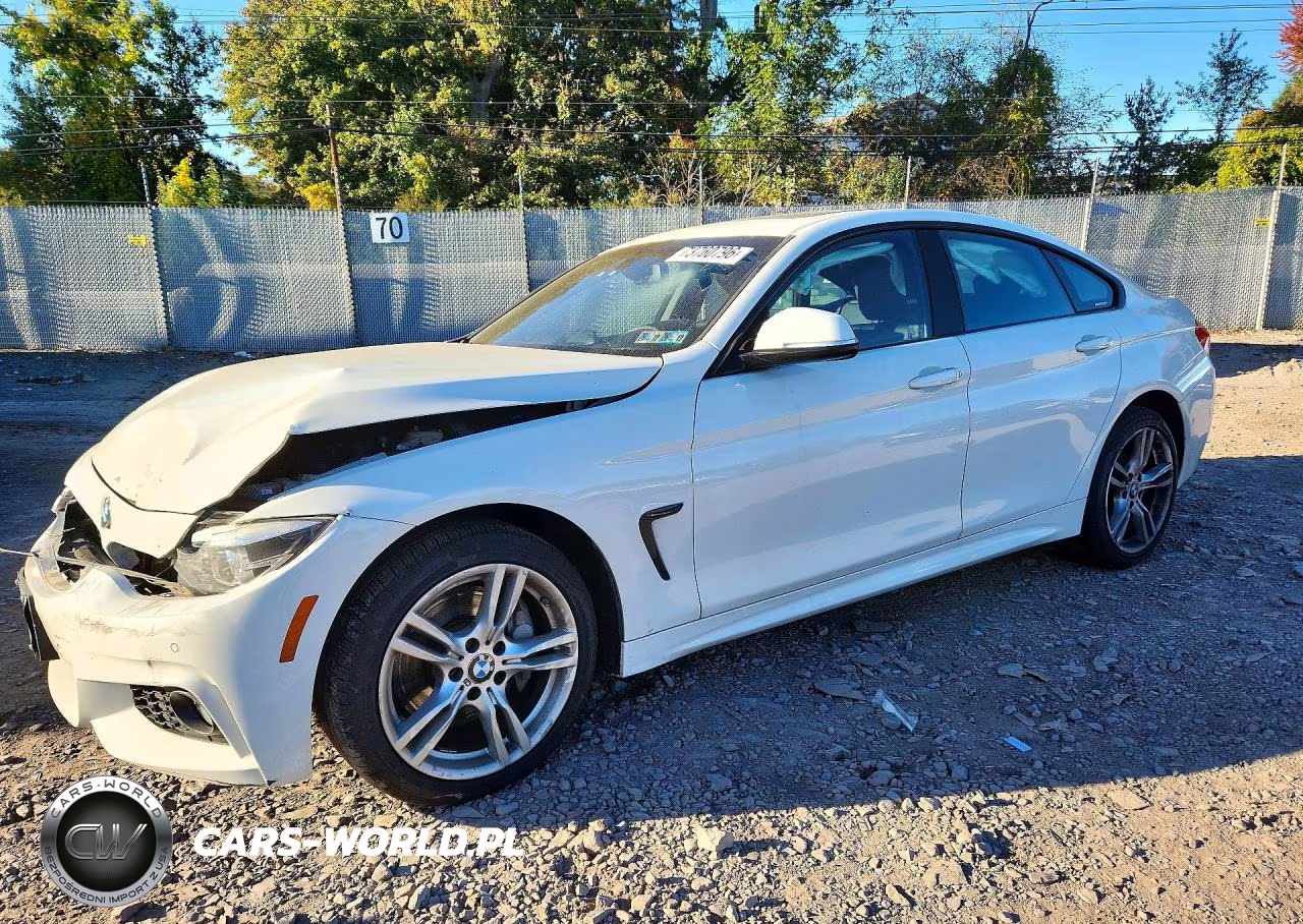 2018 BMW 430Xi Gran Coupe VIN:WBA4J3C55JBG90793 - 1