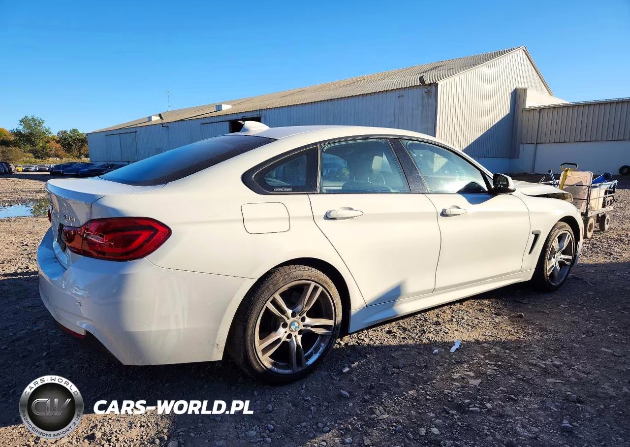 2018 BMW 430Xi Gran Coupe VIN:WBA4J3C55JBG90793 - 3