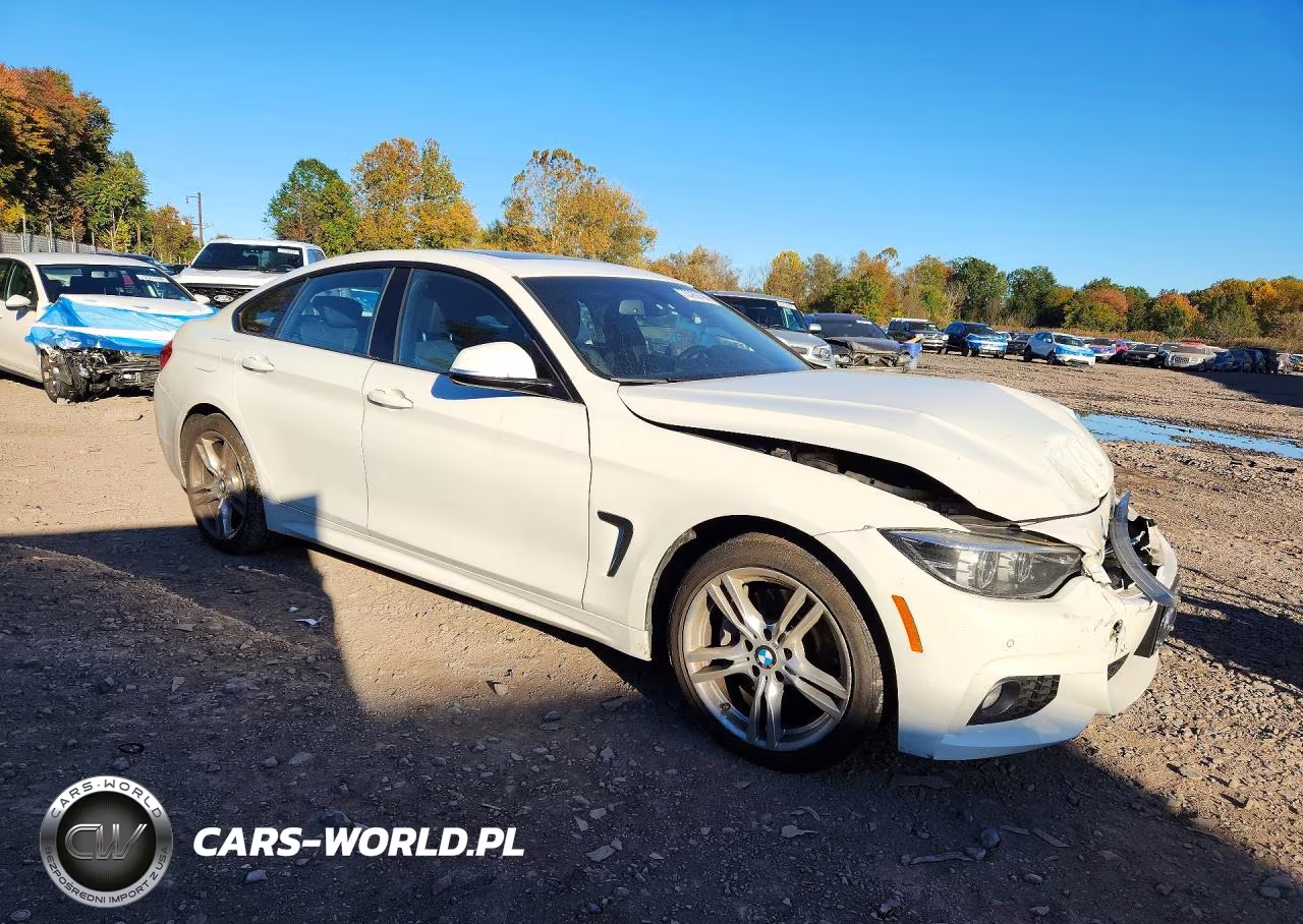 2018 BMW 430Xi Gran Coupe VIN:WBA4J3C55JBG90793 - 4