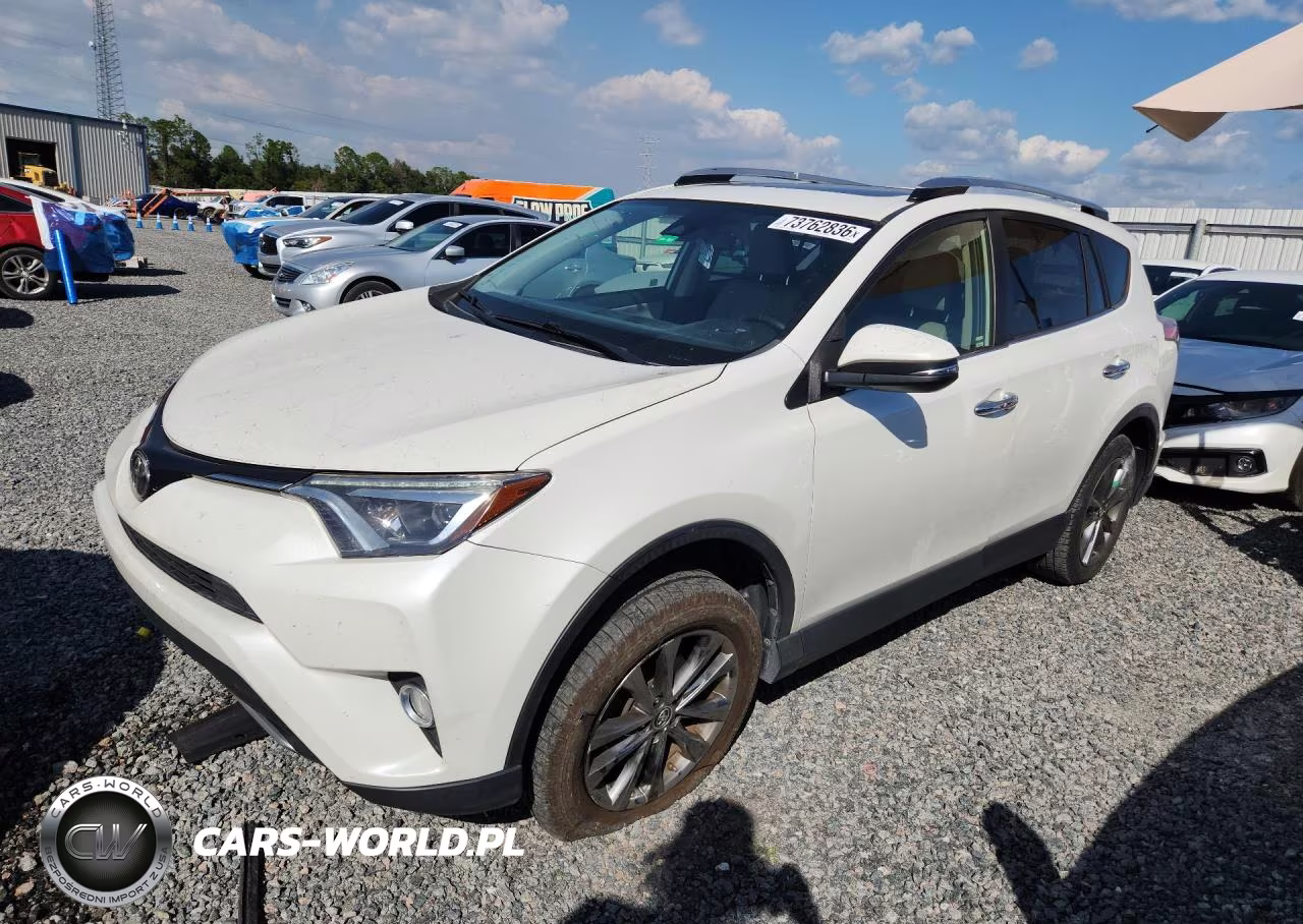 2018 Toyota Rav4 Limited VIN:JTMYFREV1JJ155260 - 1