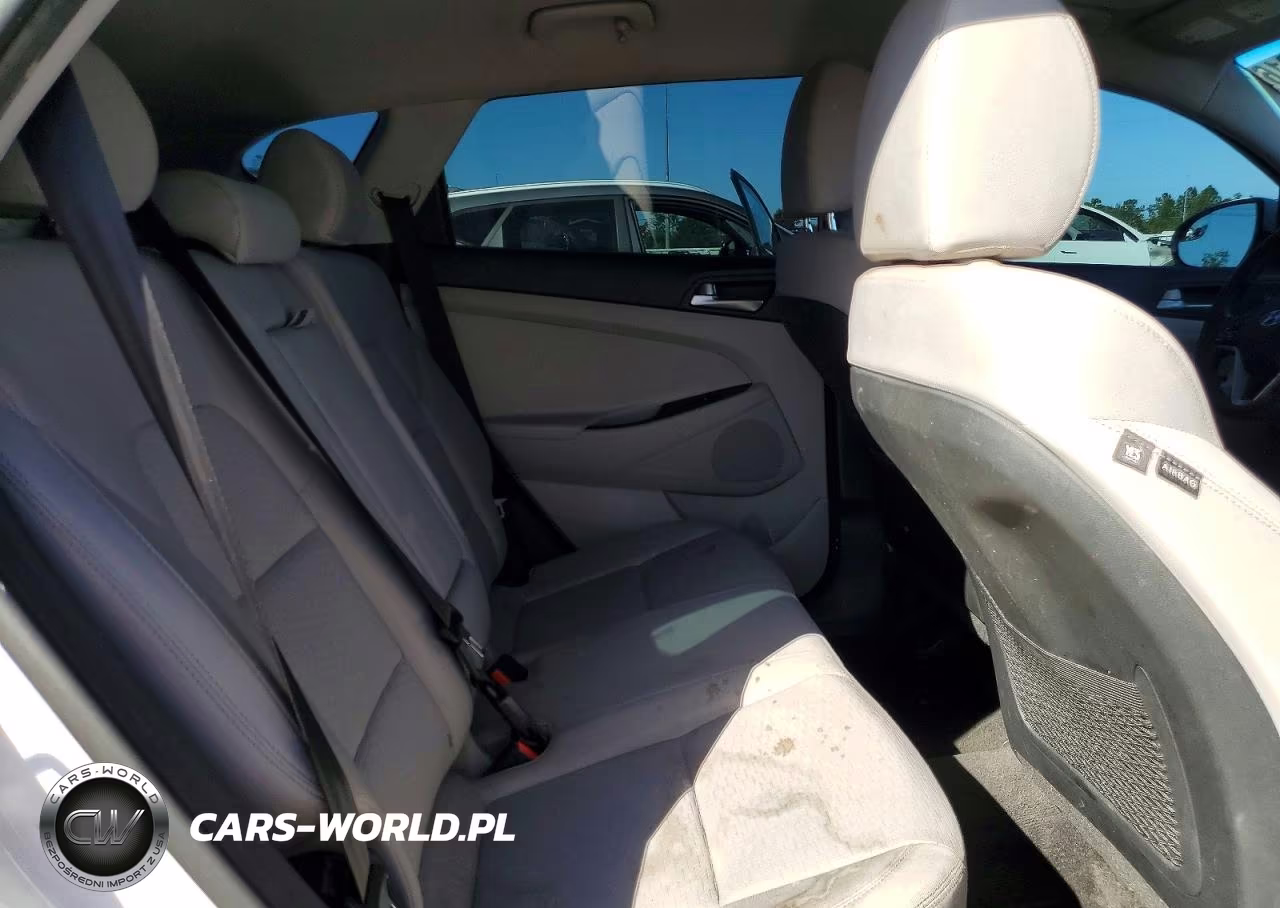 2019 Hyundai Tucson Se VIN:KM8J2CA45KU870917 - 10