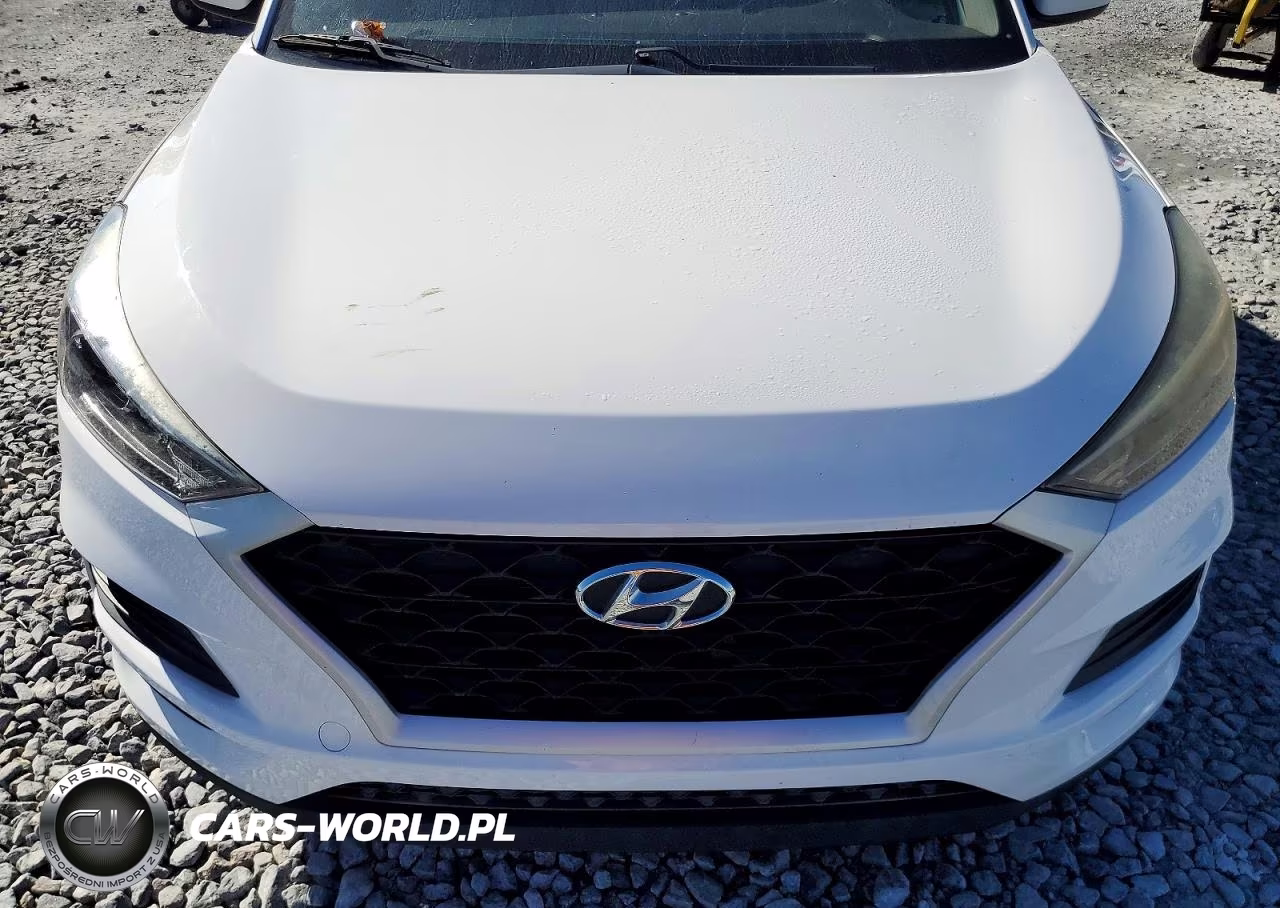 2019 Hyundai Tucson Se VIN:KM8J2CA45KU870917 - 11