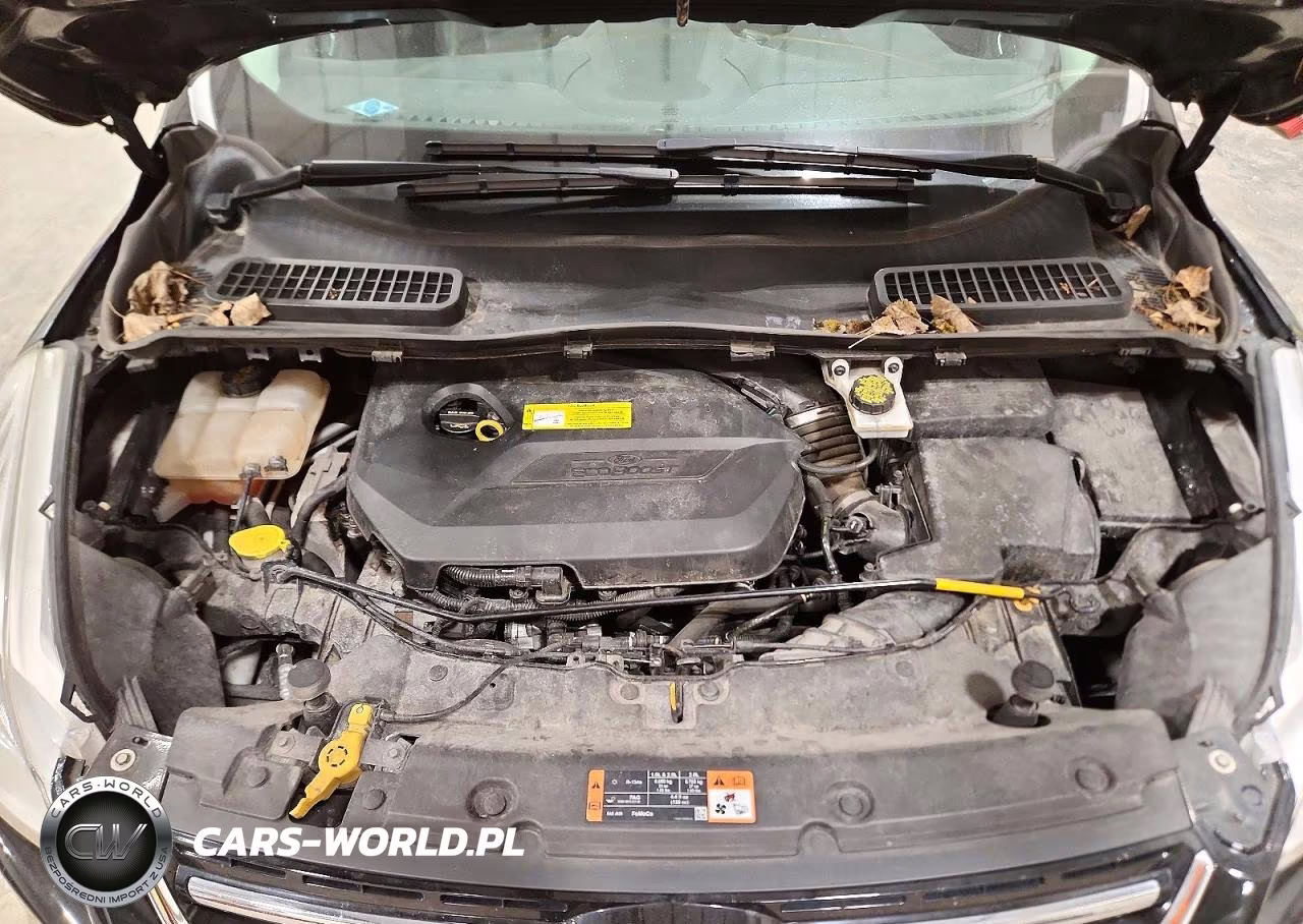 2015 Ford Escape Titanium VIN:1FMCU9JX6FUB71298 - 12