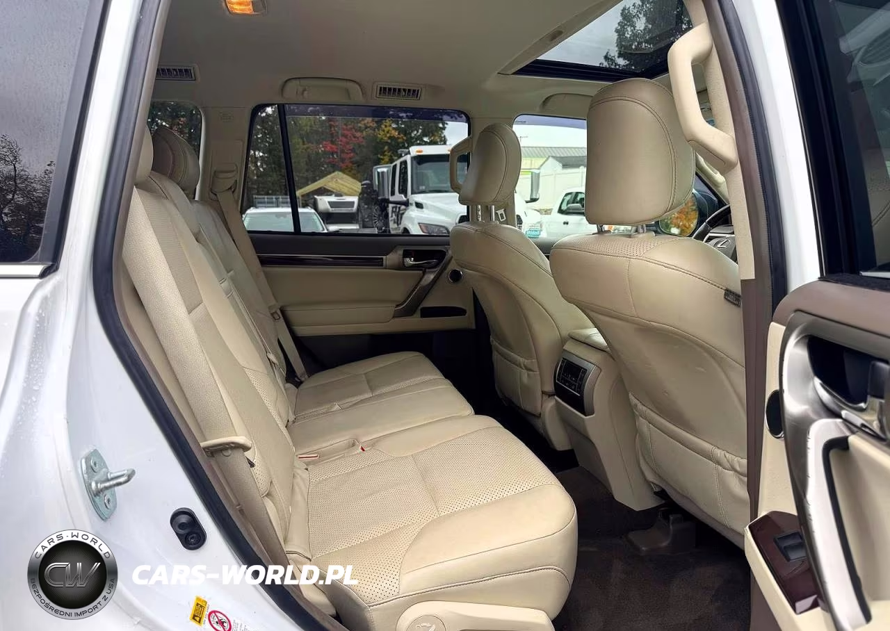 2015 Lexus Gx 460 Premium VIN:JTJJM7FX8F5108669 - 10