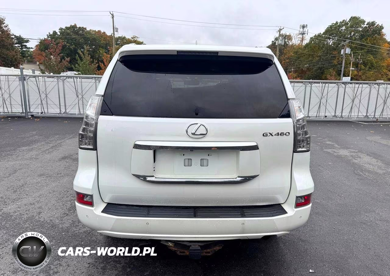 2015 Lexus Gx 460 Premium VIN:JTJJM7FX8F5108669 - 6