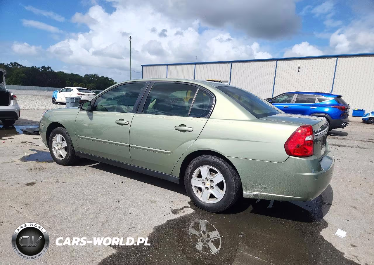 2005 Chevrolet Malibu VIN:1G1ZS52F45F180810 - 2