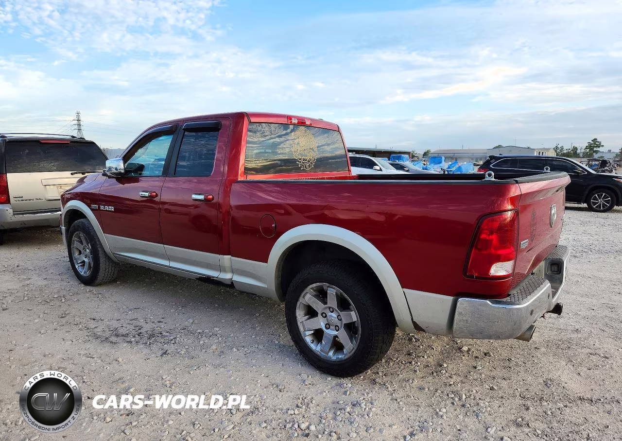 2009 Dodge Ram 1500 VIN:1D3HV18TX9S756307 - 2