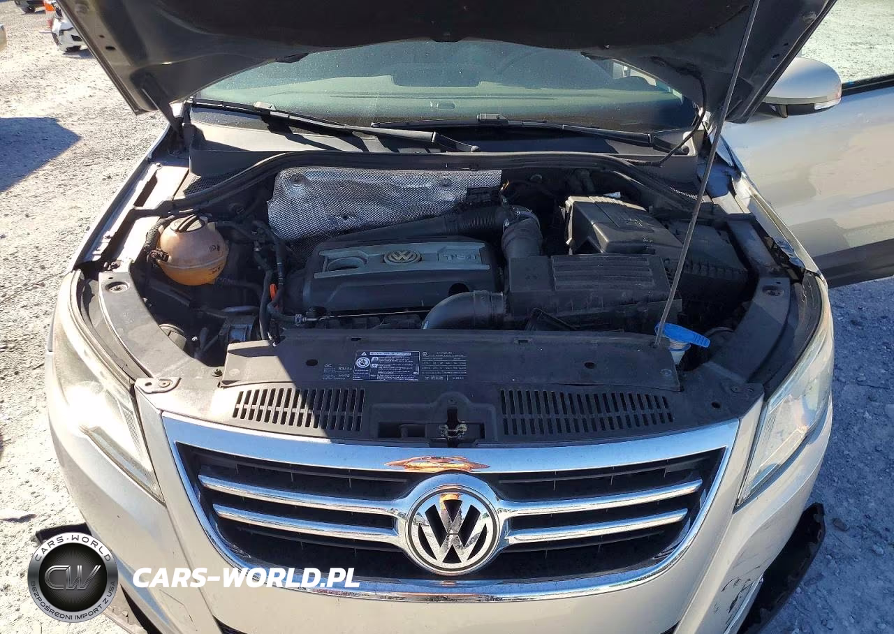 2009 Volkswagen Tiguan S VIN:WVGAV75N89W500741 - 12