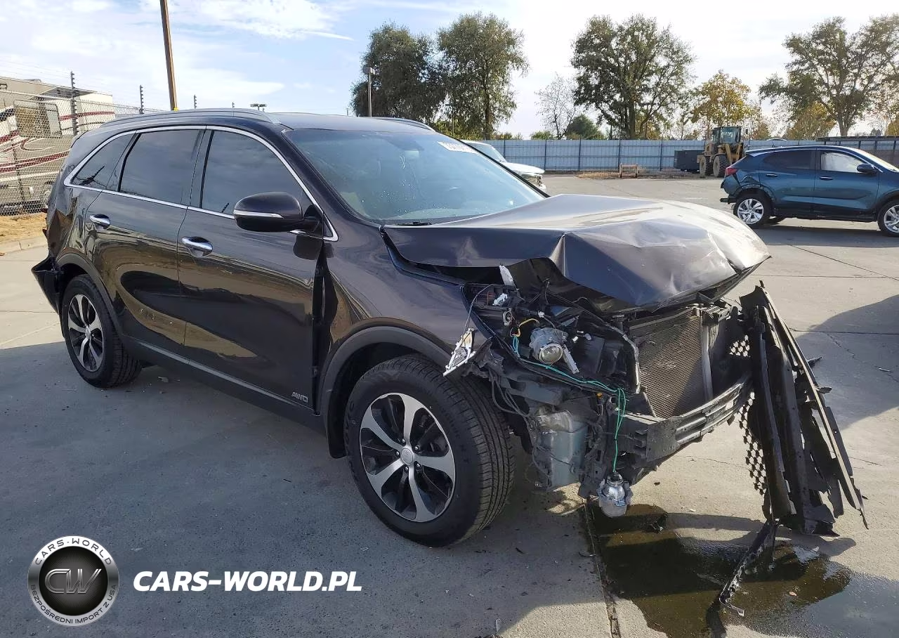 2016 Kia Sorento Ex VIN:5XYPHDA1XGG042038 - 4