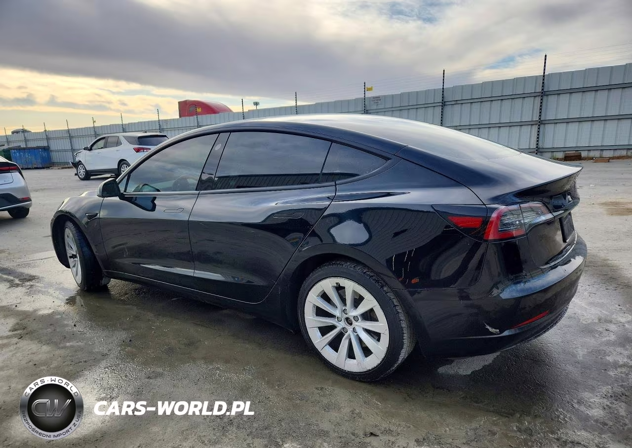 2023 Tesla Model 3 VIN:5YJ3E1EA0PF459644 - 2