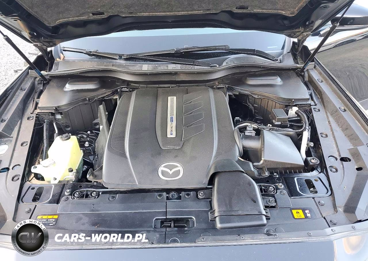 2024 Mazda Cx-90 Preferred VIN:JM3KKBHA2R1113197 - 12