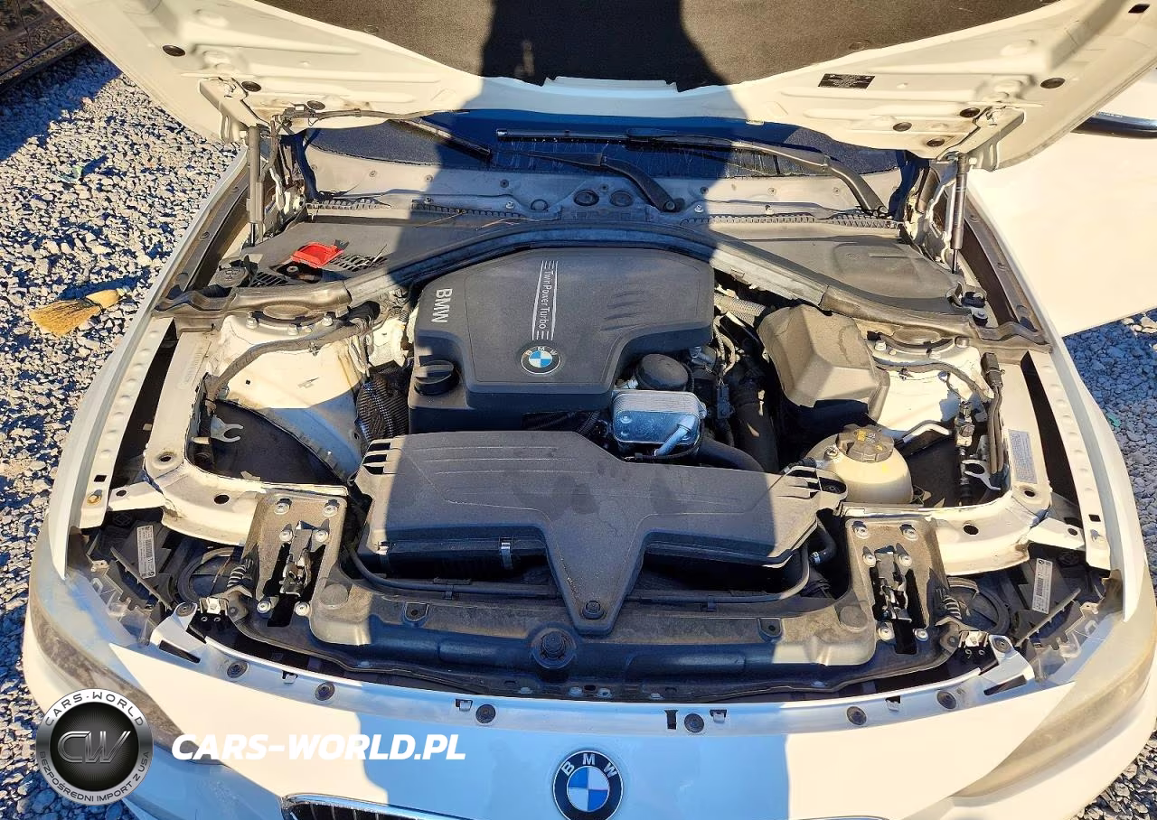 2015 BMW 320 I VIN:WBA3B1G50FNT64703 - 11