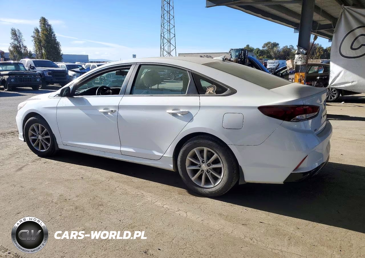 2019 Hyundai Sonata Se VIN:5NPE24AF8KH806877 - 2