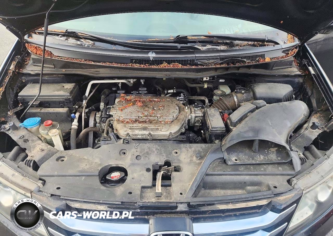 2016 Honda Odyssey Exl VIN:5FNRL5H60GB144681 - 11