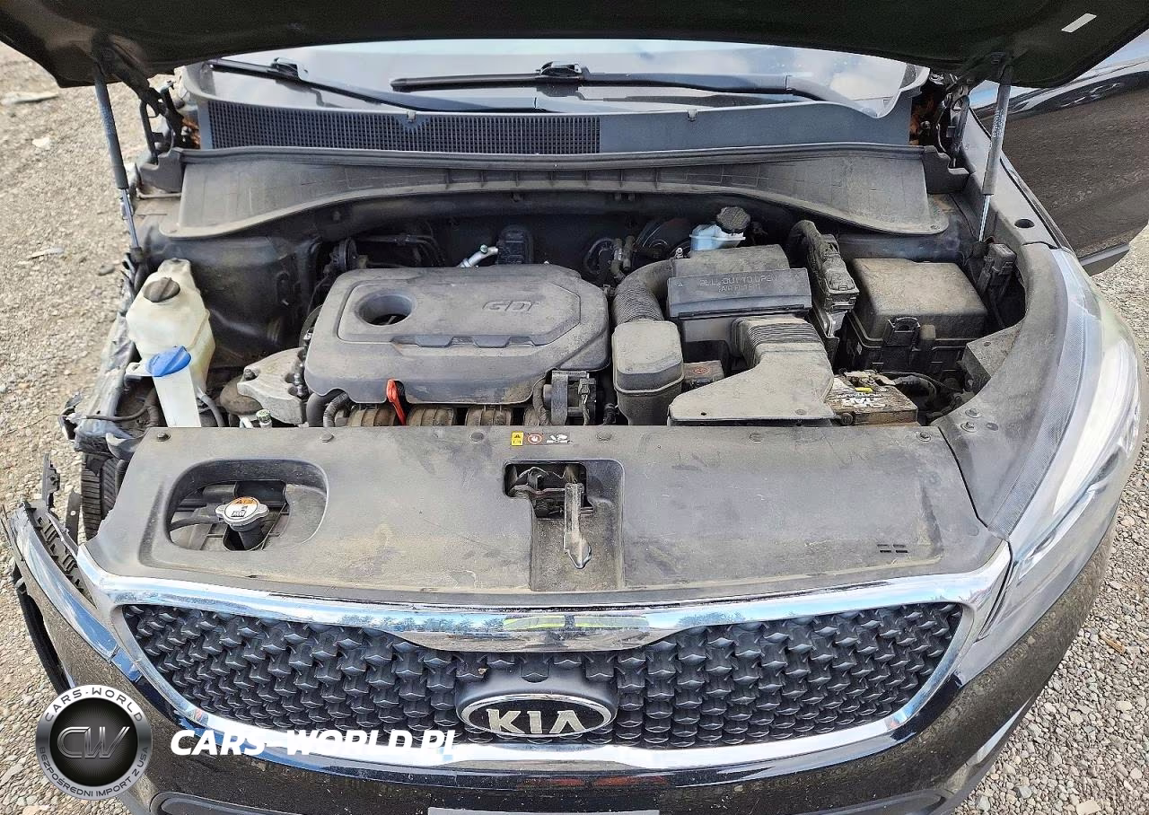 2017 Kia Sorento Lx VIN:5XYPGDA37HG199547 - 12