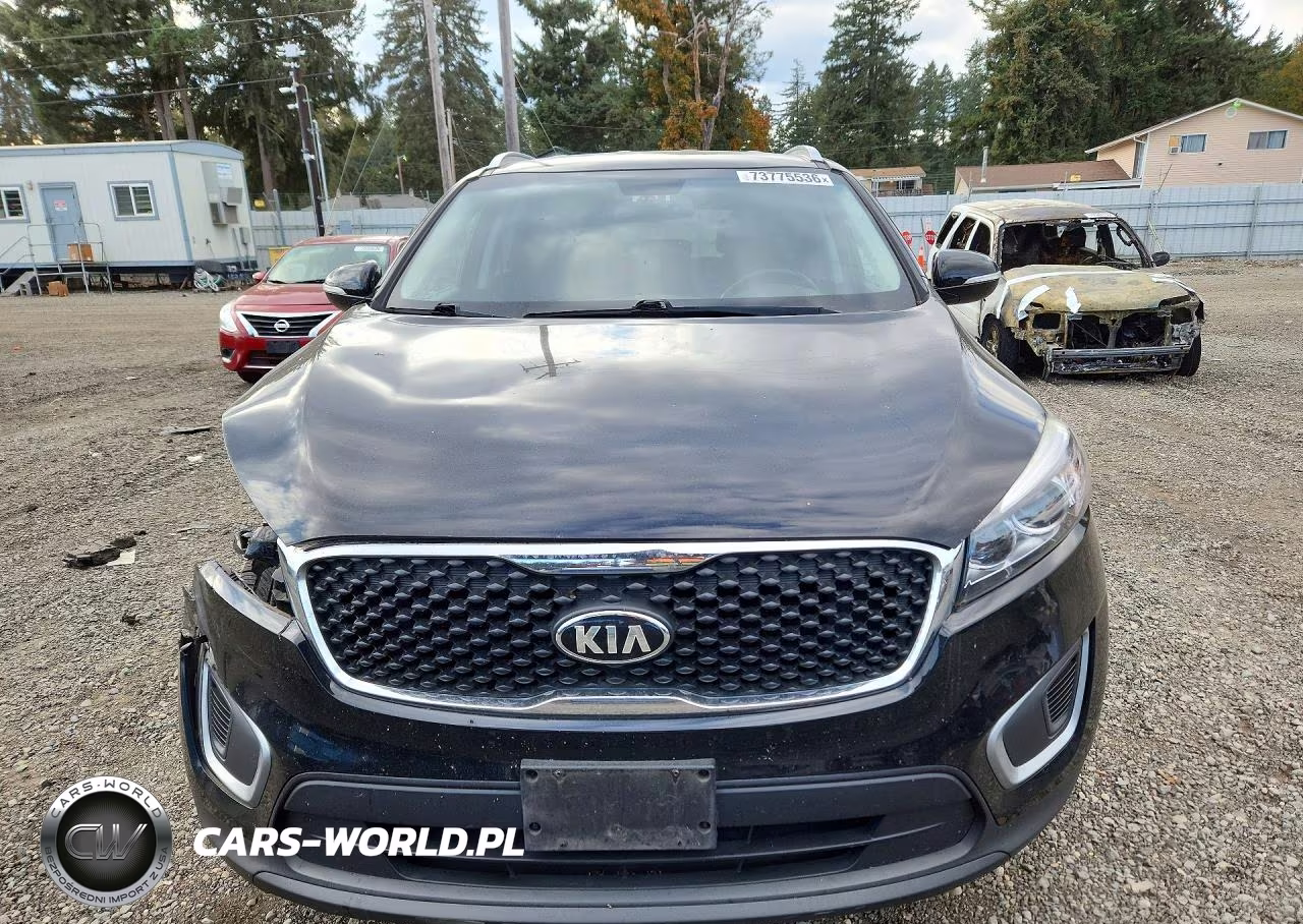 2017 Kia Sorento Lx VIN:5XYPGDA37HG199547 - 5